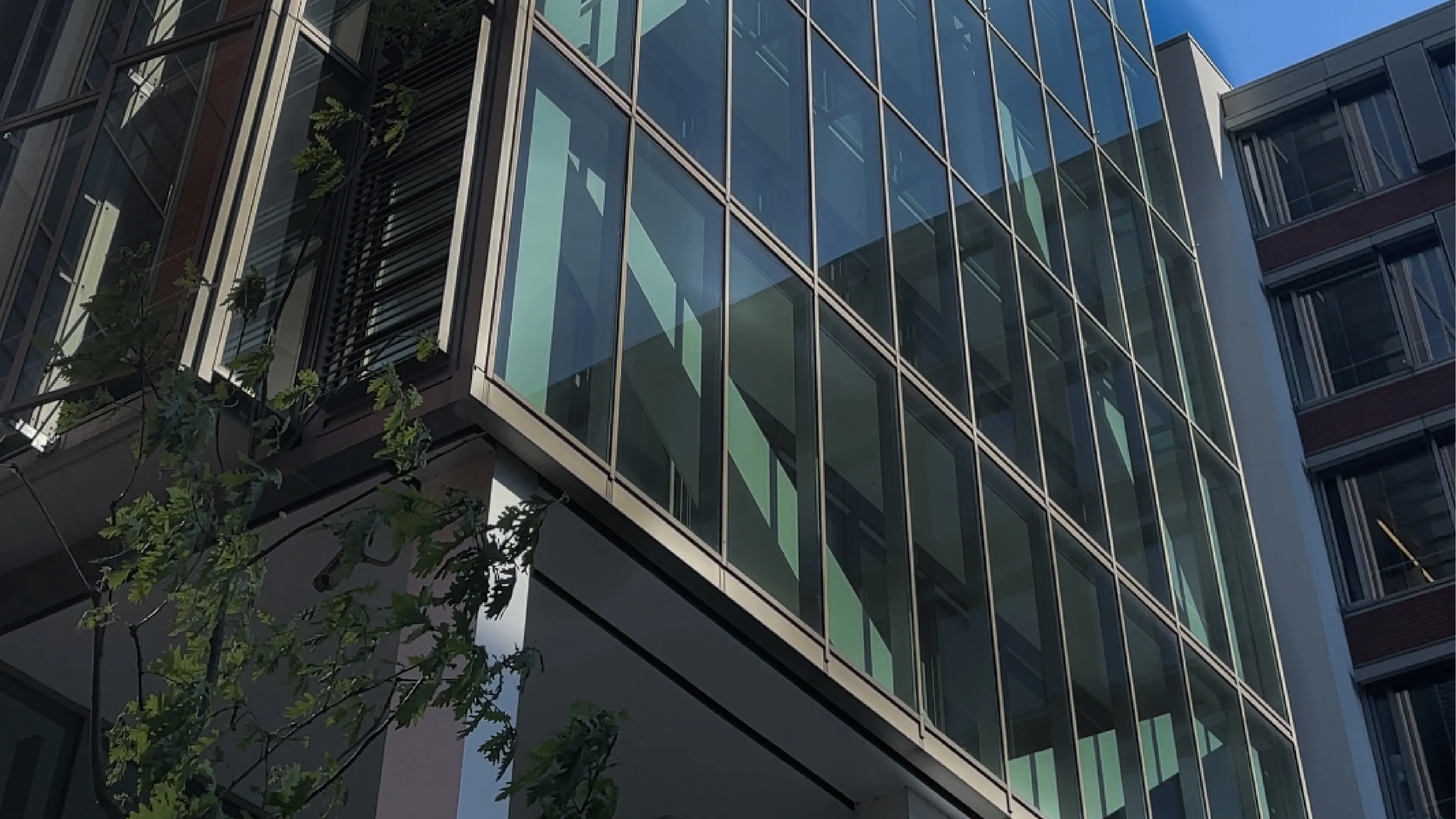 Homepage banner image Tagueri Homepage banner Tagueri AG